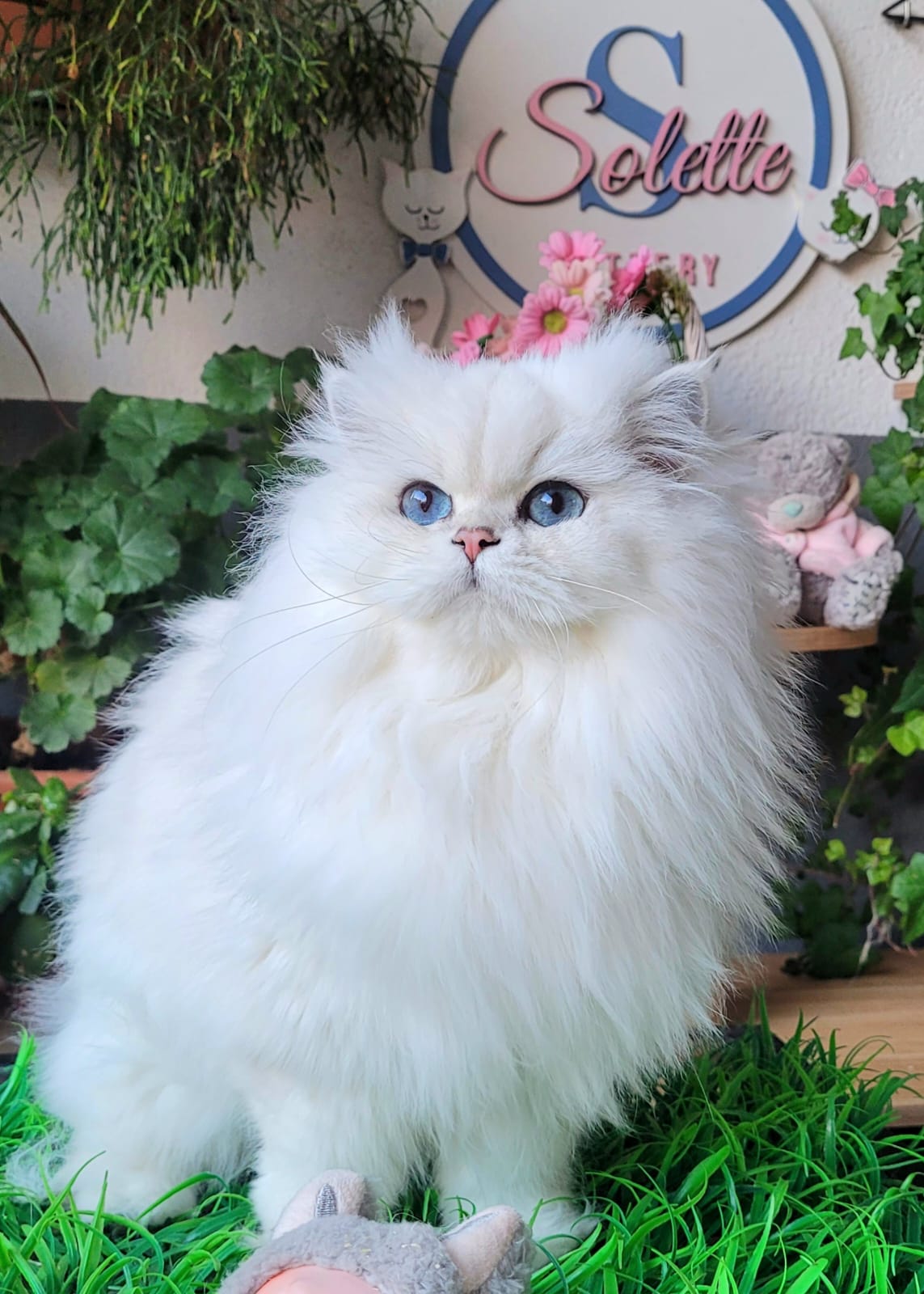 Emerald Happy Kitty Tiffany