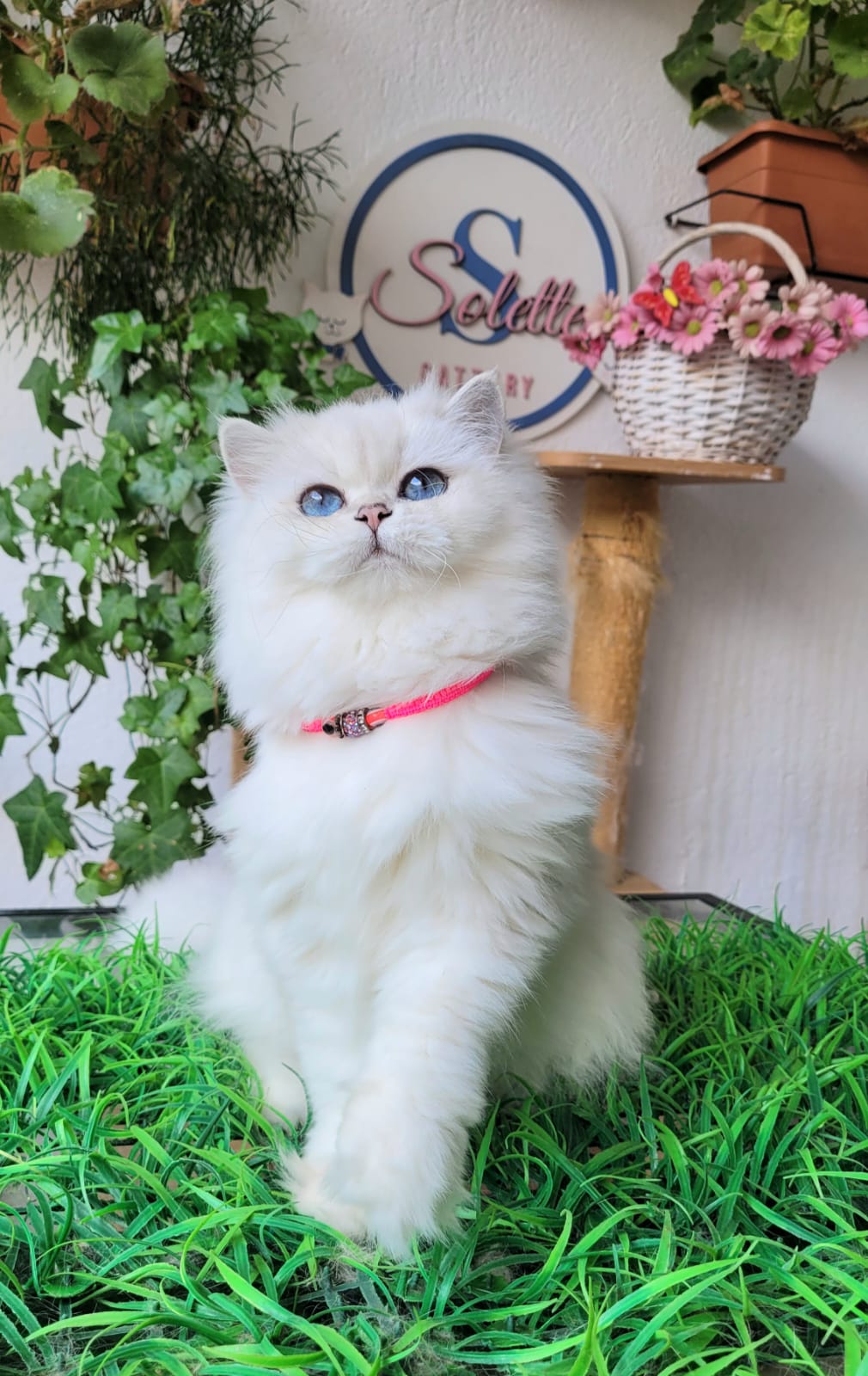 Emerald Happy Kitty Tiffany