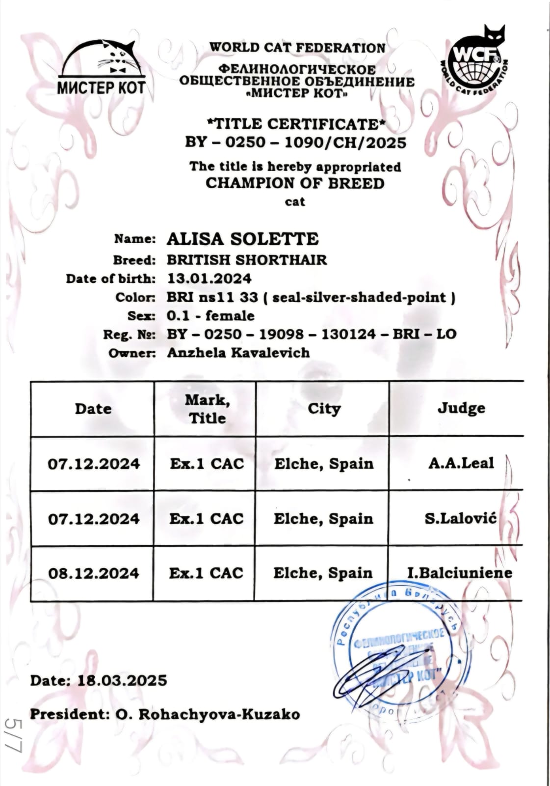 Alisa Solette — Champion of Breed certificate
