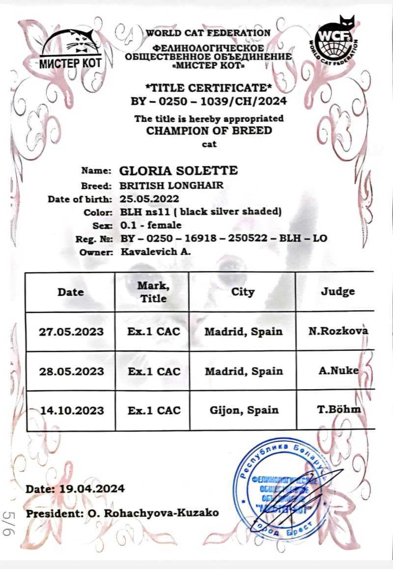 Gloria Solette — Champion of Breed certificate