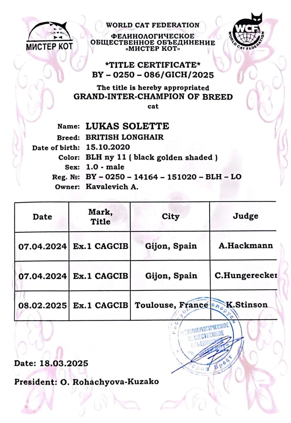 Lukas Solette — Grand-Inter-Champion of Breed certificate