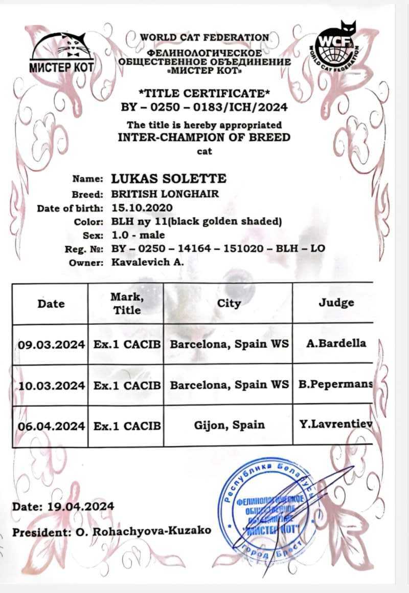 Lukas Solette — Inter-Champion of Breed certificate