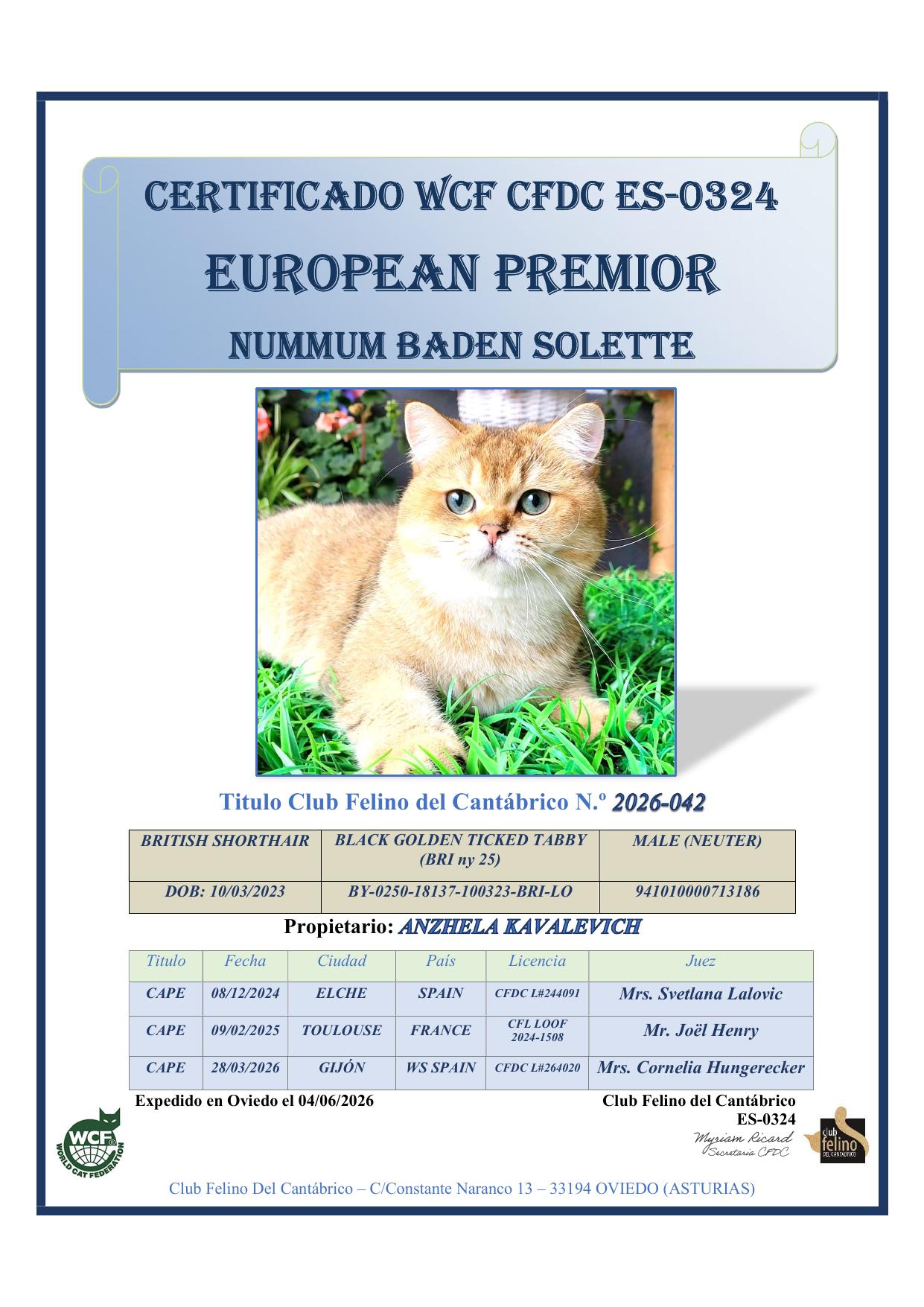 Numnum Baden Solette — European Premior certificate