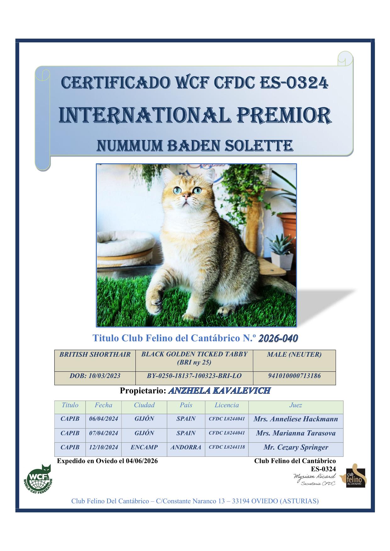 Numnum Baden Solette — International Premior certificate