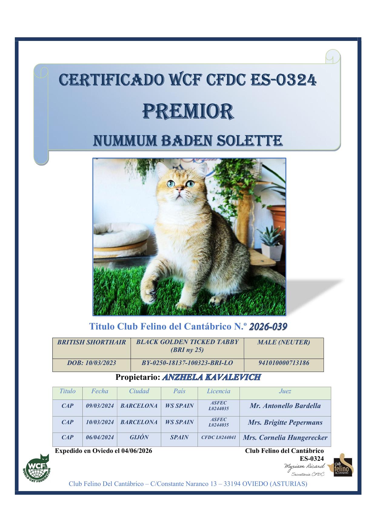 Numnum Baden Solette — Premior certificate