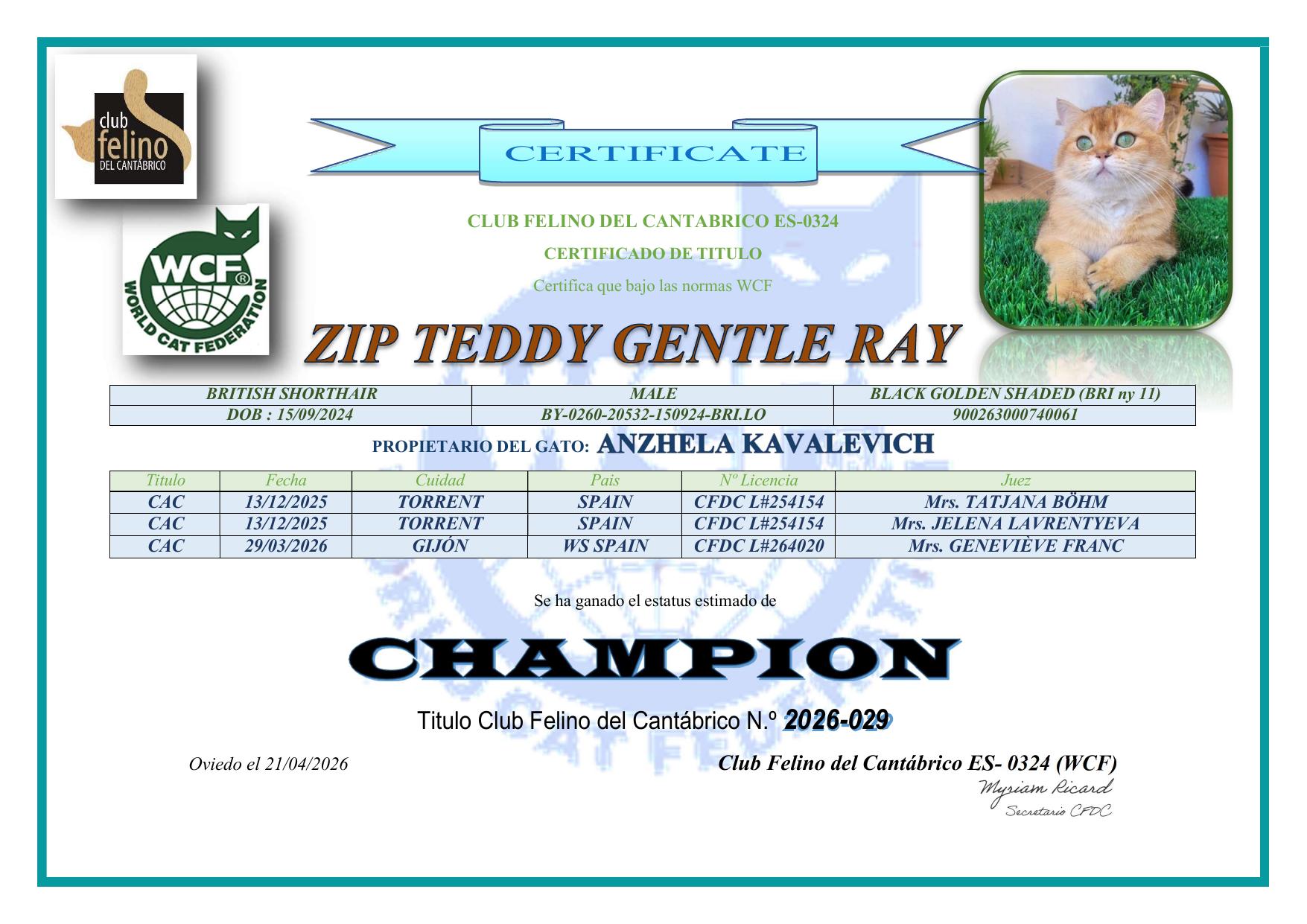 Zip Teddy Gentle Ray — Champion of Breed certificate
